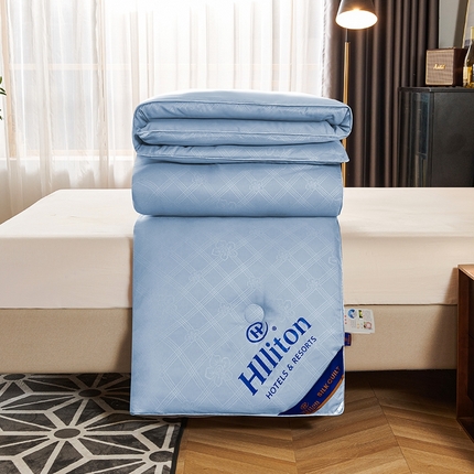 91家纺网 家纺一手货源 找家纺 样样红 2023新款五星级酒店被子被芯 蓝色