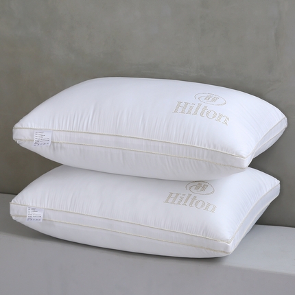 天意美 2023新款舒适柔丝花边冰丝烫钻枕头枕芯 48x74cm白色一只