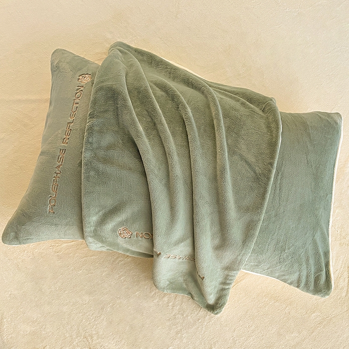 91家纺网 家纺一手货源 找家纺 澳梵 2023新款轻奢风牛奶绒刺绣四件套 浅豆绿