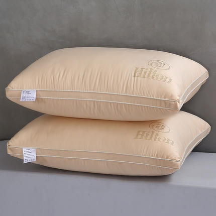 天意美 2023新款舒适柔丝花边冰丝烫钻枕头枕芯 48x74cm香槟色一只