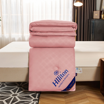 91家纺网 家纺一手货源 找家纺 样样红 2023新款五星级酒店被子被芯 玉色