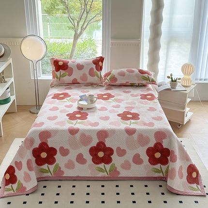 胜权 2024款高克重牛奶绒夹棉单床盖单件保暖床盖三件套 浅浅花香