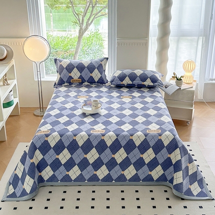 胜权 2024款高克重牛奶绒夹棉单床盖单件保暖床盖三件套 英伦时光