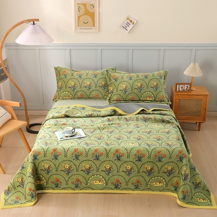 胜权 2024款高克重牛奶绒夹棉单床盖单件保暖床盖三件套 花精灵绿