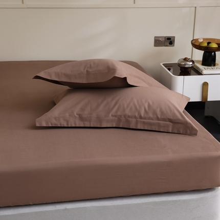  蕊姿家居 2023新款A类加厚50s超柔全棉长绒棉磨毛枕套 可可