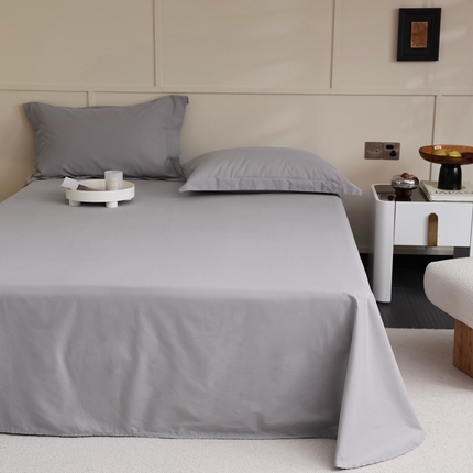 蕊姿 2023新款A类加厚50s超柔全棉长绒棉磨毛单品床单 银灰