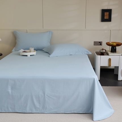 蕊姿 2023新款A类加厚50s超柔全棉长绒棉磨毛单品床单 天空蓝
