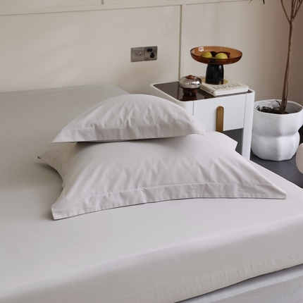  蕊姿家居 2023新款A类加厚50s超柔全棉长绒棉磨毛枕套 米灰