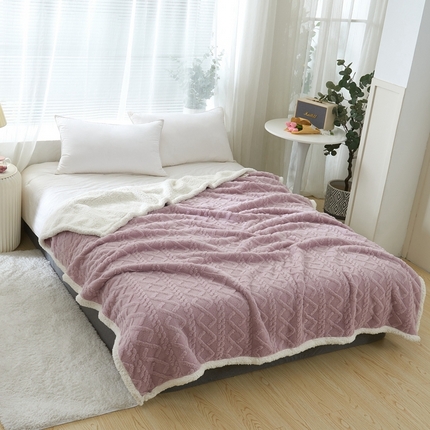 卉晨毛毯家纺 2024新款塔芙绒复合毯 莫奈紫