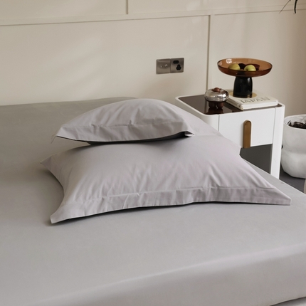  蕊姿家居 2023新款A类加厚50s超柔全棉长绒棉磨毛枕套 银灰