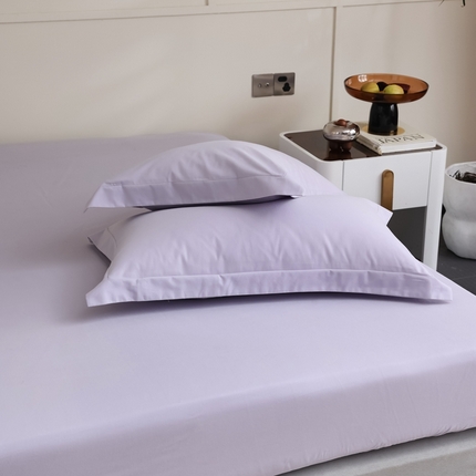  蕊姿家居 2023新款A类加厚50s超柔全棉长绒棉磨毛枕套 丁香紫