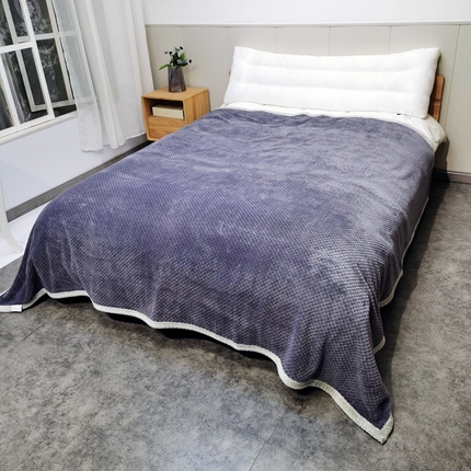 卉晨毛毯家纺 2024新款菠萝格毯空调毯午睡毯毛毯 豆沙紫