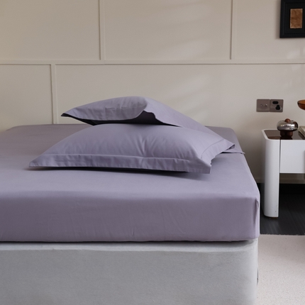  蕊姿家居 2023新款A类加厚50s超柔全棉长绒棉磨毛枕套 蓝莓灰