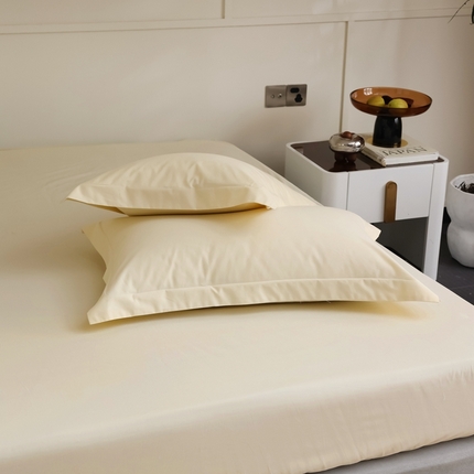 蕊姿家居 2023新款A类加厚50s超柔全棉长绒棉磨毛枕套 米黄