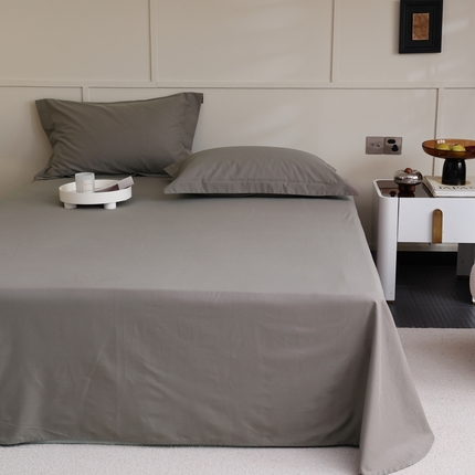 蕊姿 2023新款A类加厚50s超柔全棉长绒棉磨毛单品床单 棕灰