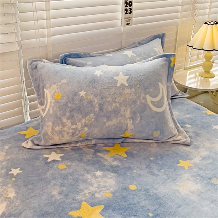名兮-2023新款高克重牛奶绒枕套 满天星