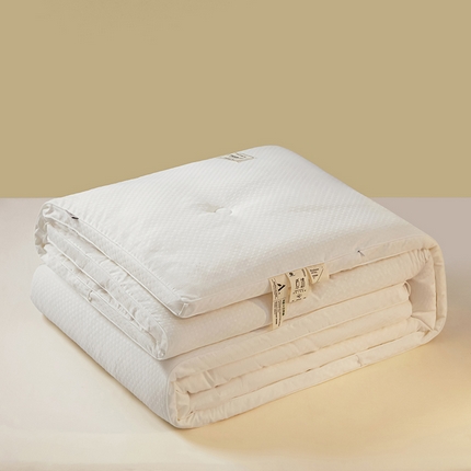 91家纺网 家纺一手货源 找家纺 （总）一加一 2025新款A类有机棉剪花大豆被冬被四季被