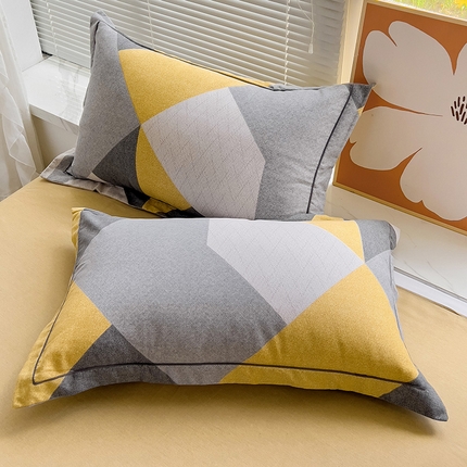 91家纺网 家纺一手货源 找家纺 棉生活家纺 2023新款铂金全棉磨毛系列（AB版）单枕套 少年