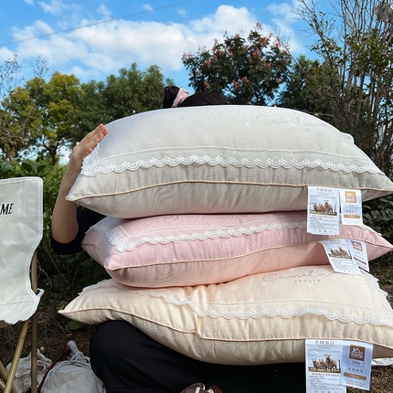 （总）拾光枕芯 2023新款羊绒蛋白蕾丝枕
