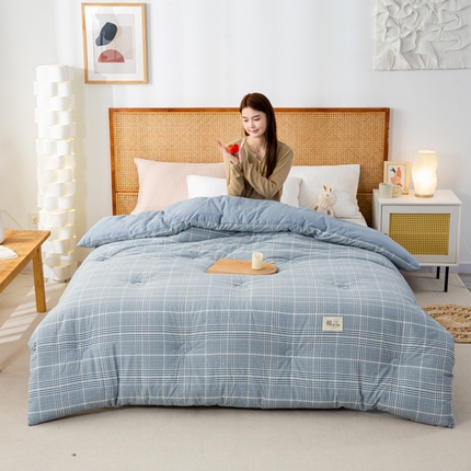 鸣升家纺 新款无印风全棉色织水洗棉100%棉花被冬被被子被芯 柏林兰