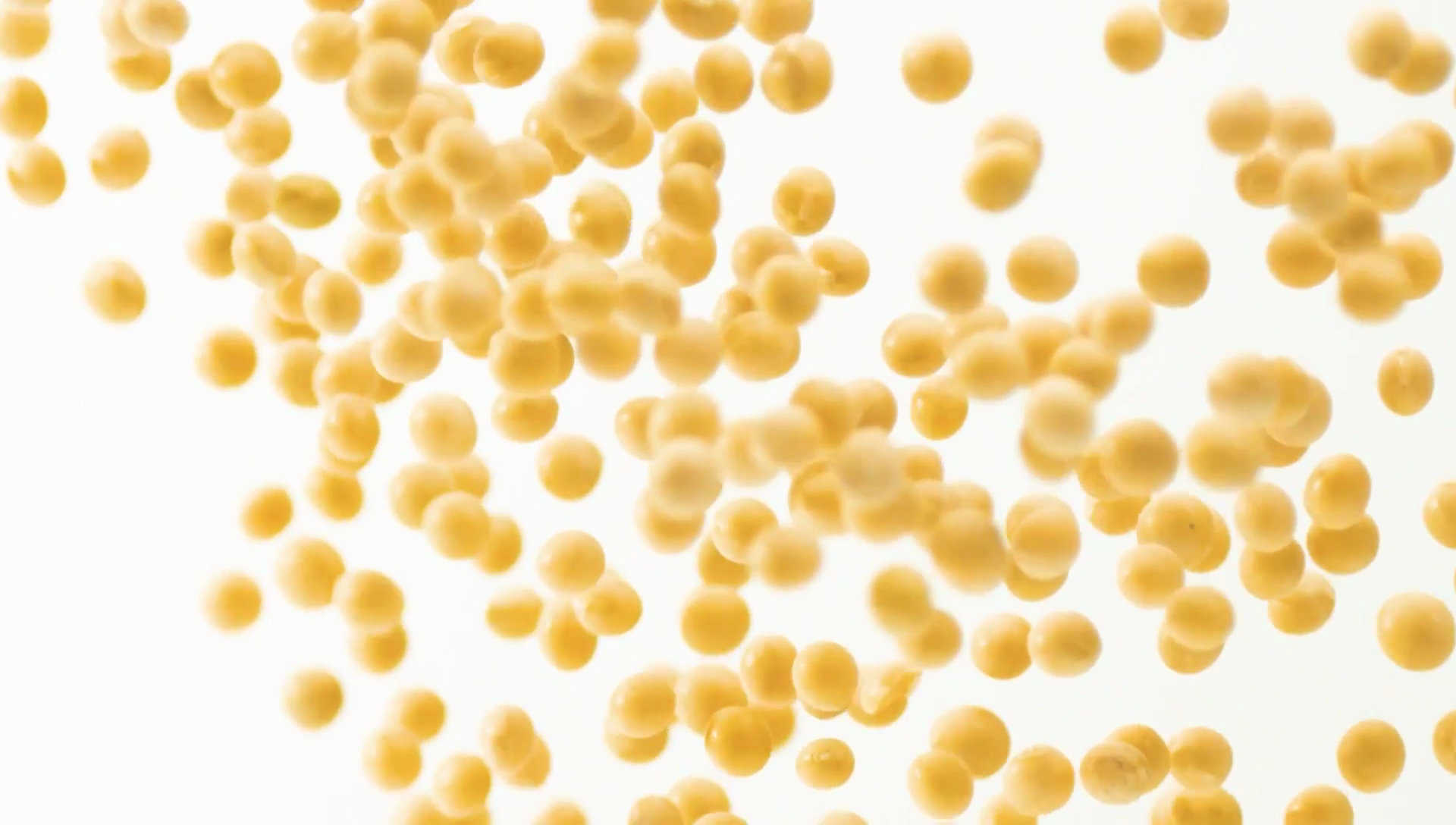 91家纺网 家纺一手货源 找家纺 （总）南北家居 2024新款A类母婴级原棉被子被芯