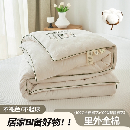 91家纺网 家纺一手货源 找家纺 （总）子由家居 2023新款b类纯棉原棉100棉花冬被