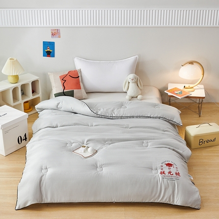 丽卡家纺 2023新款澳棉提花状元被冬被 火山灰