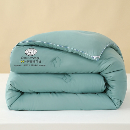 芯恋家居 2025新款水洗100％新疆长绒棉棉花被 浅湖蓝