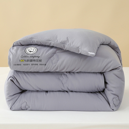 芯恋家居 2025新款水洗100％新疆长绒棉棉花被 优雅灰