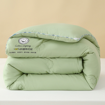 芯恋家居 2025新款水洗100％新疆长绒棉棉花被 抹茶绿
