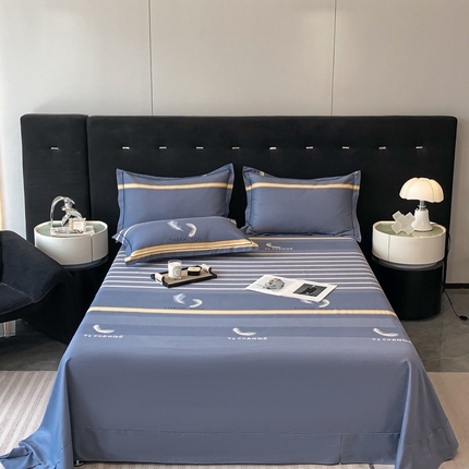 铭成 2024新款全棉生态喷气加厚磨毛单品床单 风光无限-灰