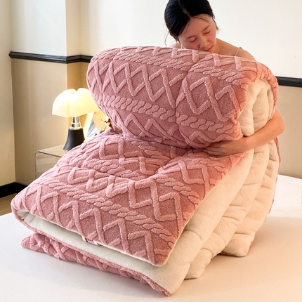 亚龙工厂店 2023新款加厚塔芙绒冬被 淡粉