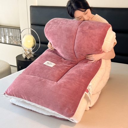 91家纺网 家纺一手货源 找家纺 亚龙工厂店 2024新款加厚牛奶绒冬被 豆沙