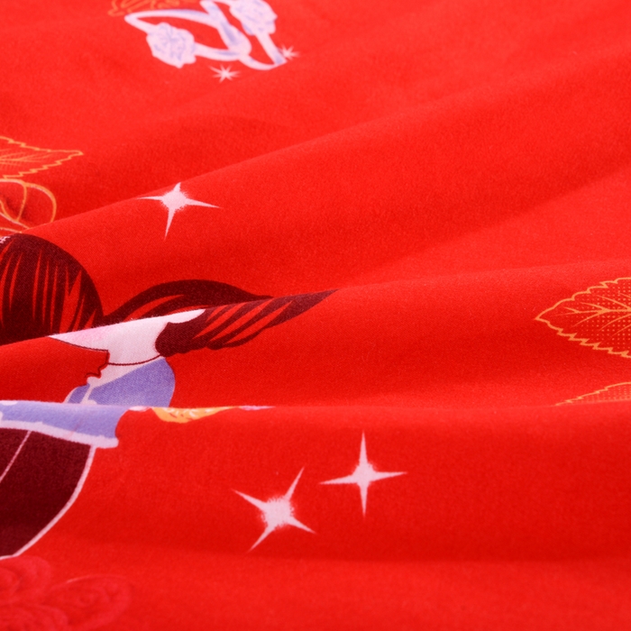 91家纺网 家纺一手货源 找家纺 优家居 2023新款床裙三件套 玫瑰恋人