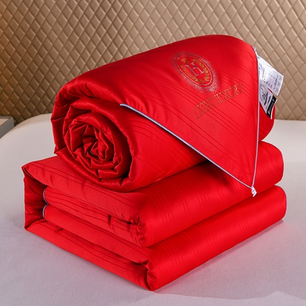 博尼卡家纺 2024新款维也纳酒店全棉提花蚕丝被子母被被子冬被 婚庆红