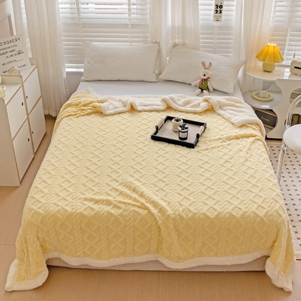 91家纺网 家纺一手货源 找家纺 （总）艾咪 新款高克重加厚塔芙绒双层毯子羊羔绒毛毯