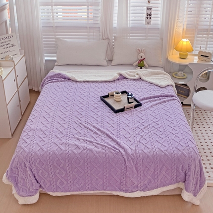 91家纺网 家纺一手货源 找家纺 （总）艾咪 新款高克重加厚塔芙绒双层毯子羊羔绒毛毯