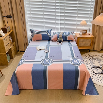 芃成家纺 2023磨毛单床单 创意空间-蓝