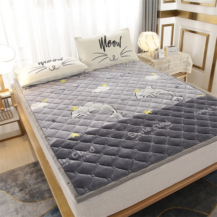 东宇 2024年新款A类抗菌牛奶绒大床加厚床垫 小海豚