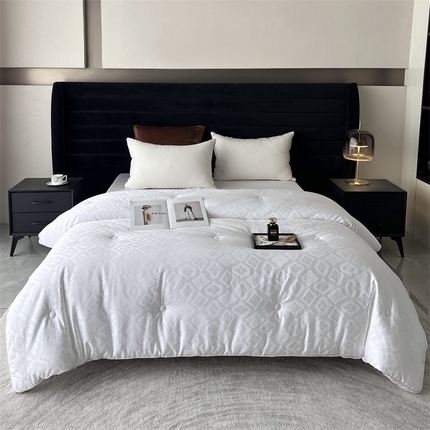 91家纺网 家纺一手货源 找家纺 （总）朵美 英威达暖绒被-奥古特（2色）