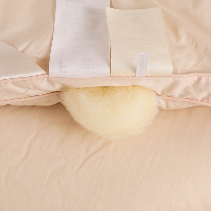 91家纺网 家纺一手货源 找家纺 天瑜家纺 2023新款喷气全棉A类无荧光大豆冬被子被芯卡其