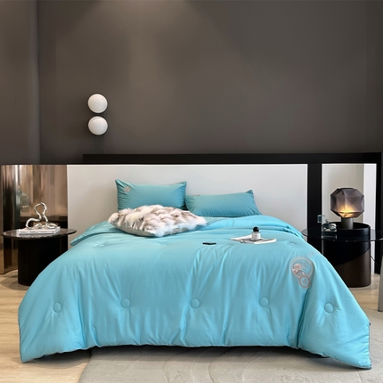 91家纺网 家纺一手货源 找家纺 （总）头等舱 2023新款全棉A类高支高密纯色20大豆抗菌秋冬被（含子母被）