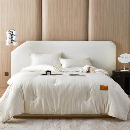 头等舱 2023新款大提花A类华夫格55%大豆抗菌秋冬被（含子母被） 安格贝拉本白