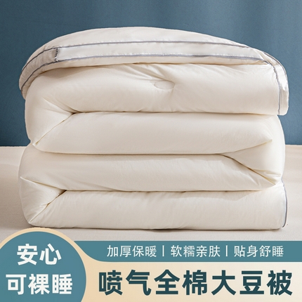91家纺网 家纺一手货源 找家纺 （总）天瑜家纺 2023新款喷气全棉A类无荧光大豆冬被子被芯