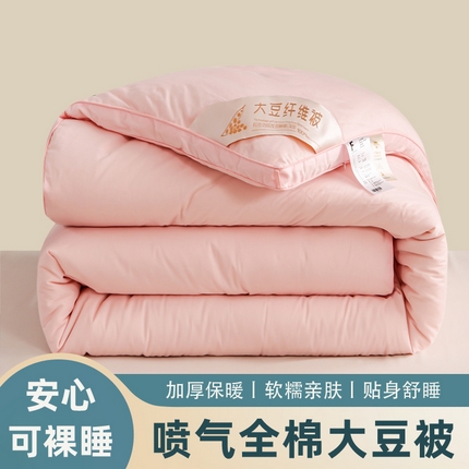 91家纺网 家纺一手货源 找家纺 （总）天瑜家纺 2023新款喷气全棉A类无荧光大豆冬被子被芯