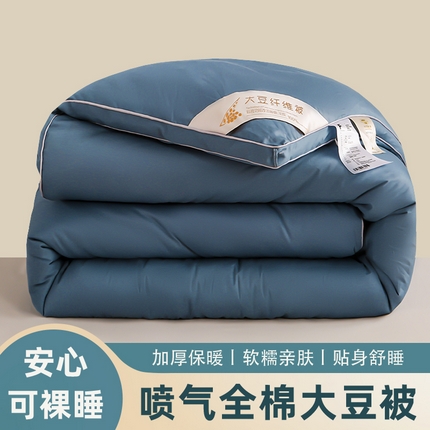 91家纺网 家纺一手货源 找家纺 （总）天瑜家纺 2023新款喷气全棉A类无荧光大豆冬被子被芯
