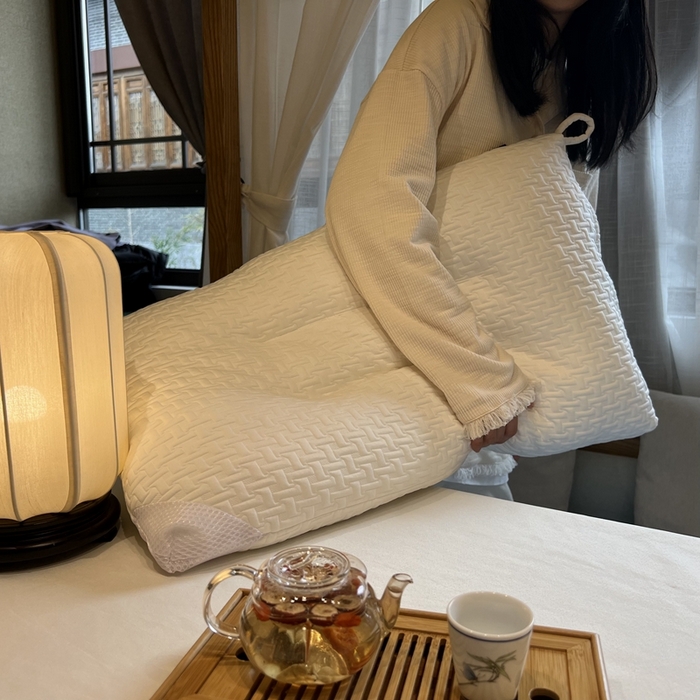 91家纺网 家纺一手货源 找家纺 拾光枕芯 2023新款韩国绒水洗枕灰白两色枕芯 白色