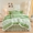 91家纺网 家纺一手货源 找家纺 虹星家纺 2023新款牛奶绒夹棉床裙套件清新系列-床裙款四件套 清新-牛油果绿