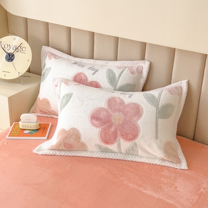 2023新款立体6D雪花绒加厚保暖系列单枕套 48x74cm一对 锦上添花