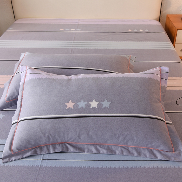 91家纺网 家纺一手货源 找家纺 简如  	2025新款全棉磨毛印花四件套 波尔蓝卡-灰